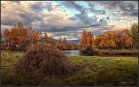 Фото статьи